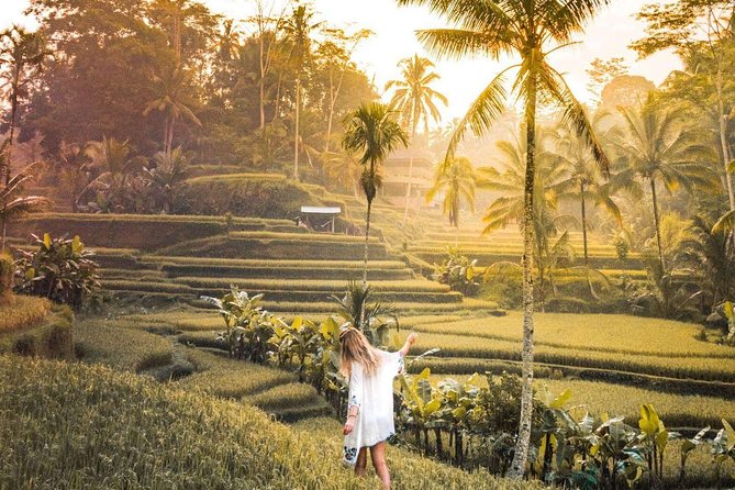 Bali Ubud private Tour with Ubud Bali Driver - FREE WIFI - How the Driver Turns Stops Into Stories