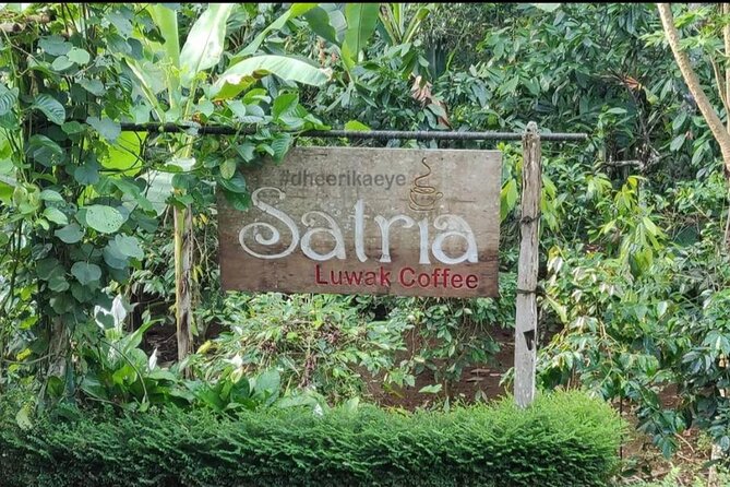 Bali Ubud private Tour with Ubud Bali Driver - FREE WIFI - Tegenungan Waterfall: A Nature Reset Between Temples