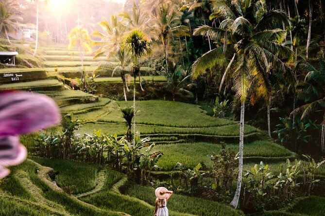 Bali Ubud Tour: Monkey Forest, Waterfall & Rice Terrace - The 8:30 AM Ubud Route, Plus Why Timing Matters