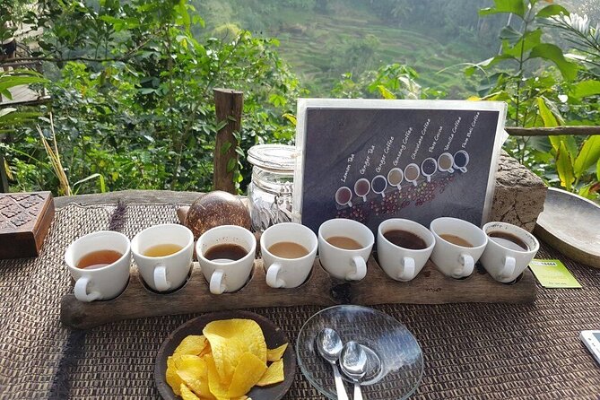 Bali Ubud Tour: Monkey Forest, Waterfall & Rice Terrace - Ubud Art Market Plus an Art Village Stop You Can Choose