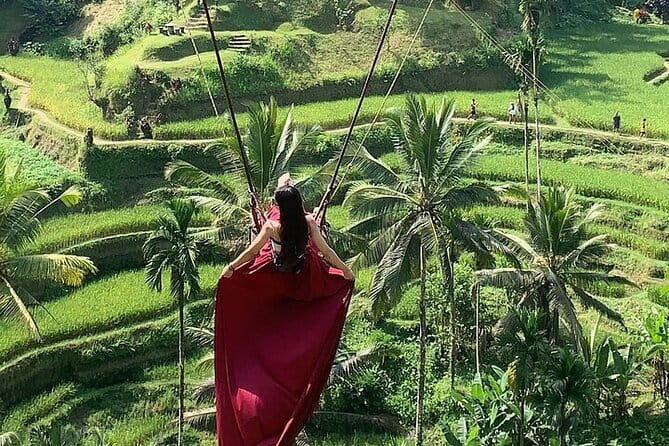Bali Ubud Tour Monkey Forest, Waterfall, Temple & Rice Terrace - The Smart Part: Private Pickup and A/C Transport Around Ubud