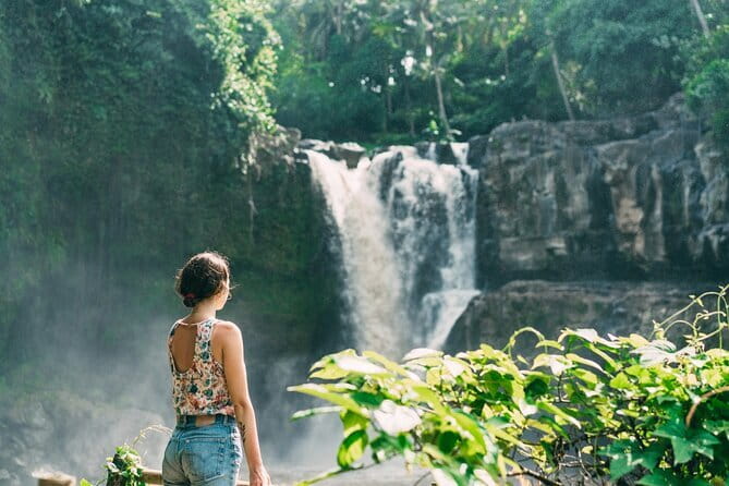 Bali Ubud Tour Monkey Forest, Waterfall, Temple & Rice Terrace - Ubud Stops You Might See in the Route: Palace, Art Market, Infinity Pool, and More