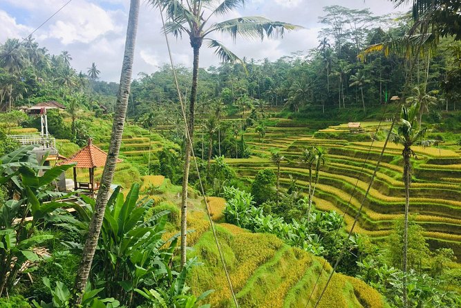 Bali Ubud Tour - Why the Susila factor can change the whole day