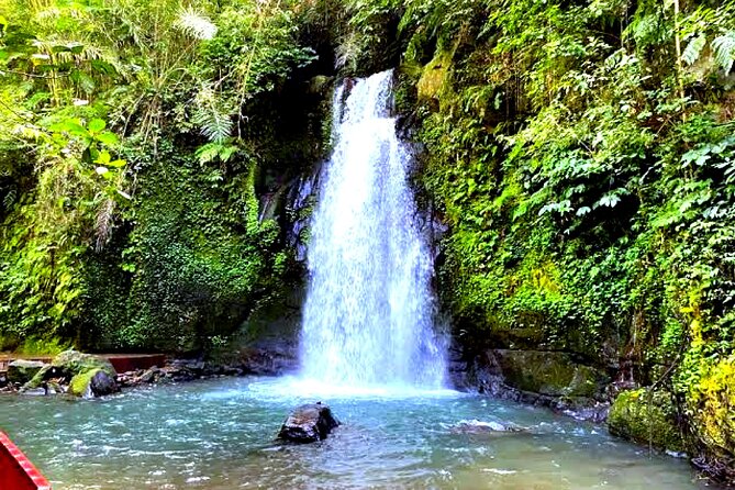 Bali Ubud Zipline Jungle Swing and Waterfall Tour - Coffee plantation option: a calmer cultural pause