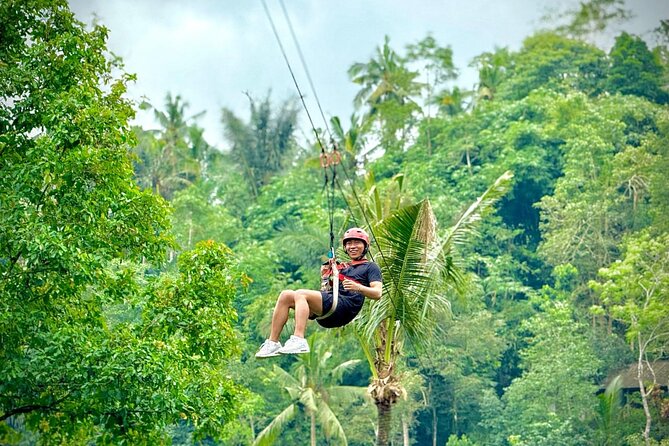 Bali Ubud Zipline, Monkey Forest and Waterfall Adventure - The Ubud driving component: why the ride matters more than you think