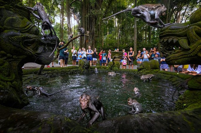 Bali Ubud Zipline, Monkey Forest and Waterfall Adventure - Who this tour suits best in Ubud