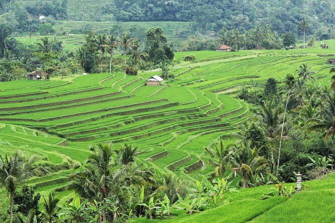 Bali UNESCO Sites: Water Temples and Jatiluwih Rice Terrace Tour - Ulun Danu Bratan Temple: the lake goddess setting that frames itself