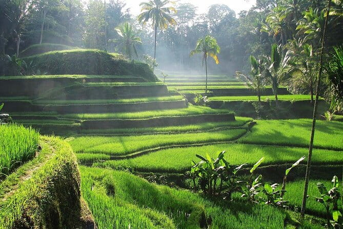 Bali Waterfall in One Day Tours, Hidden Waterfall - All Inclusive - Mahagiri Panoramic Resort and Restaurant: Views and Your Lunch Decision