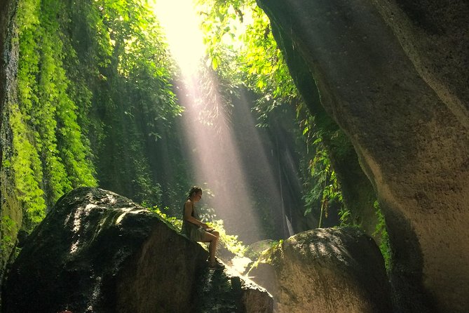 Bali Waterfalls and Temples Tour - Price and value: why $76 can still be a full-day bargain