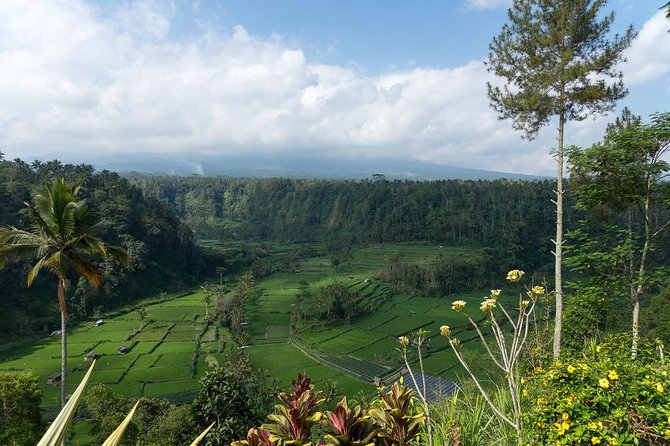 Bali Waterfalls and Temples Tour - Temesi Waterfall: a quieter start before the big temple hour