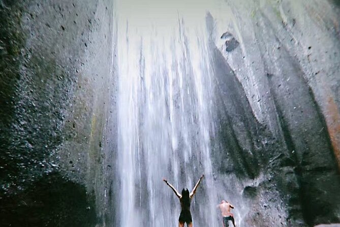 Bali Waterfalls Private Day Tour - Price and value: why $43.58 feels fair for this route