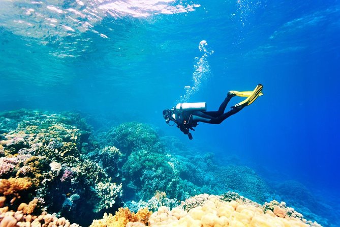Bali Watersport Activities - Great Discount Package - Pickup, Drop-Off, and That Clean-Car First Impression