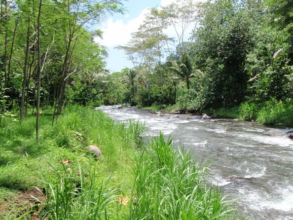Bali White Water Rafting at Telaga Waja River - Key Things to Know Before Telaga Waja Rafting
