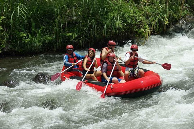 Bali White Water Rafting at Telaga Waja River - The Big Idea, Class III and IV on Telaga Waja