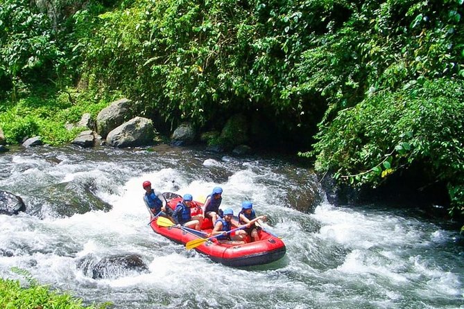 Bali White Water Rafting at Telaga Waja River - What It Feels Like in the Water (Without Overhyping It)