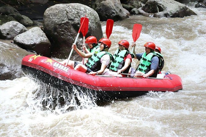 Bali White Water Rafting - Infinity - On the water: Grade II-III rapids, waterfalls, and wildlife spotting