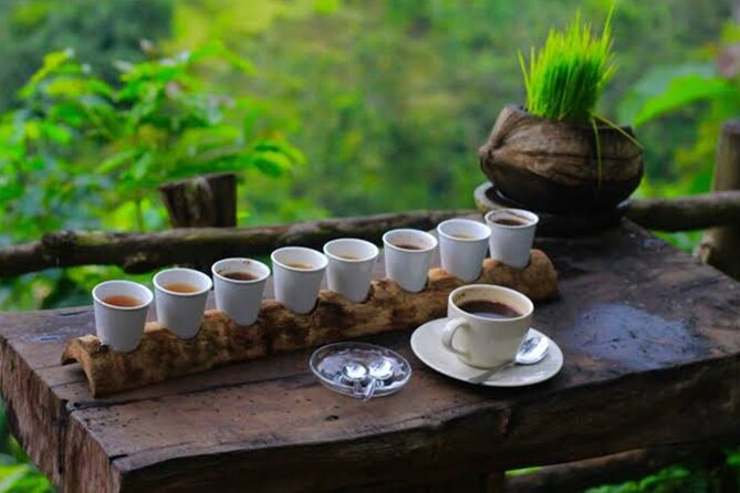 Bali White Water Rafting with No Steep Access - Lunch with jungle views, why it is more than a bonus