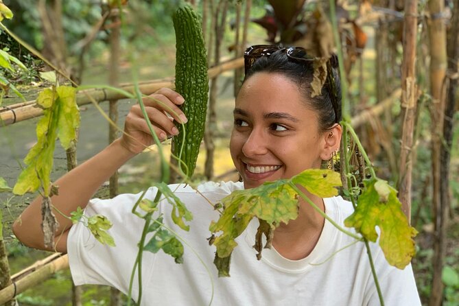 Balinese Authentic Cooking Class in Ubud - Transport, timing, and group size that keeps things personal
