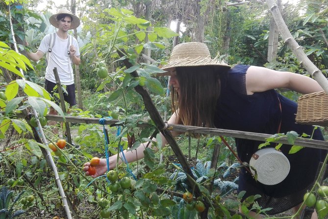 Balinese Cooking Class at Organic Farm - The center at Mai Organic Farm and the juice break