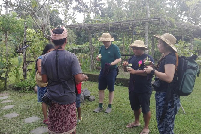 Balinese Cooking Class at Organic Farm - Drinks matter here: infused water, herbal tea, lemongrass, and coffee