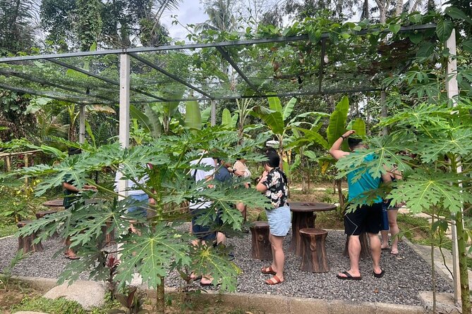 Balinese Cooking Class with Traditional Market Tour - Who should book this cooking class (and who might not)