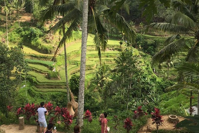 Balinese Life Style Tour - Price and Logistics: Where the Cost Comes From and How to Budget