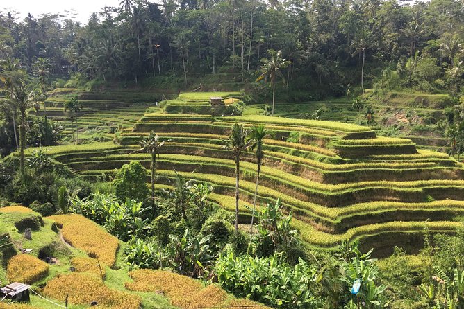 Balinese Life Style Tour - How to Prepare for a Smooth Day (Without Overpacking Your Brain)