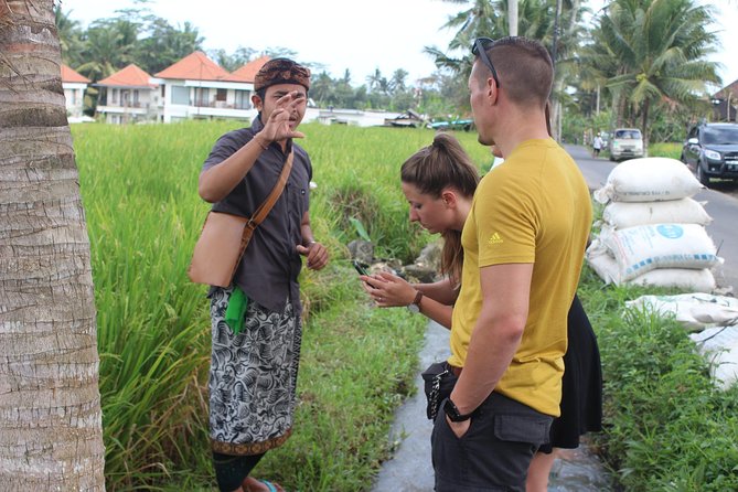 Balinese Ubud cooking school (9 Dish Cooking and Market Tour) - Should you book this 9 dish cooking and market tour?