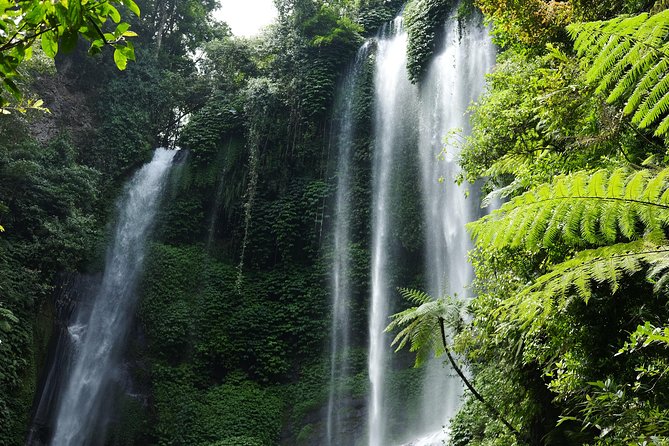 Banyuwana & Banyumala Waterfalls Tour Private - All-Inclusive - Banyumala Twin Waterfalls: Tropical Steps and a Jungle Feel
