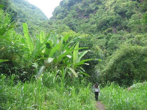 Batur Caldera Sunrise Trekking - Key things that make this Batur sunrise trek worth it