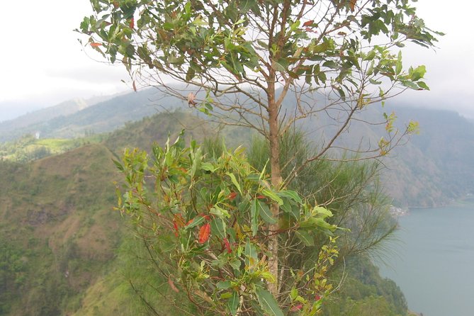 Batur Caldera Sunrise Trekking - Who this sunrise trek is best for, and who should think twice