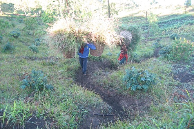 Batur Caldera Sunrise Trekking - Lake Batur, a traditional village start in Pulak, and why that first leg matters