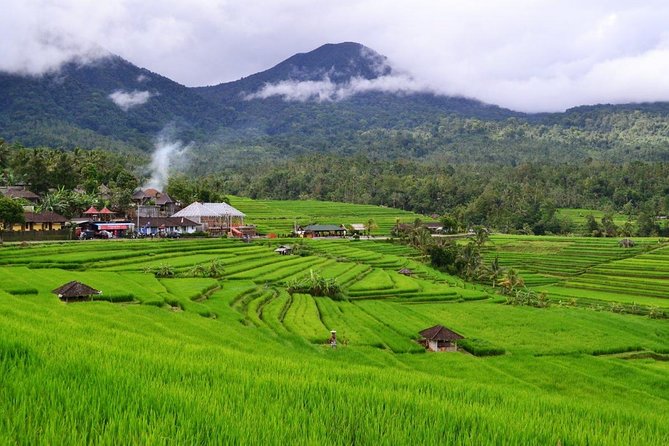 Beauty Of West Bali Tour (Private and All Inclusive) - The 8:30 am start and the 10-hour rhythm
