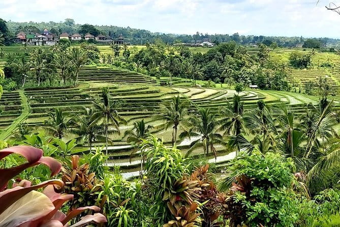 Beji Griya Waterfall Bali Spritual Holy Bath Experience - Price, time, and whether $45 is good value