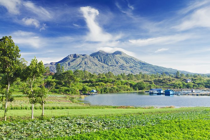 Besakih Temple Tour: the Biggest Temple in Bali - Tegalalang Rice Terrace: 45 minutes of paddies and photos