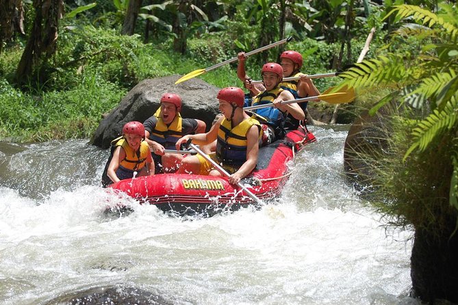 Best Bali Ayung River Rafting with Lunch - Price and Value: Does $32 Include Enough?