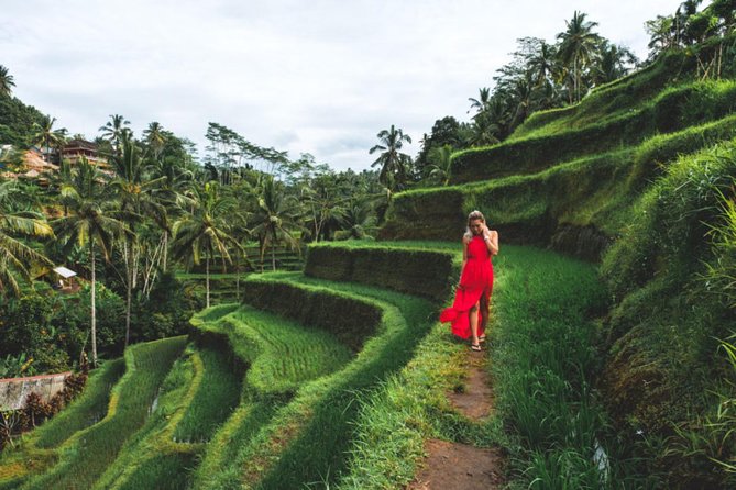 Best Day Trip in Bali - Sacred Monkey Forest Sanctuary, then Tegalalang Rice Terrace for photos with context