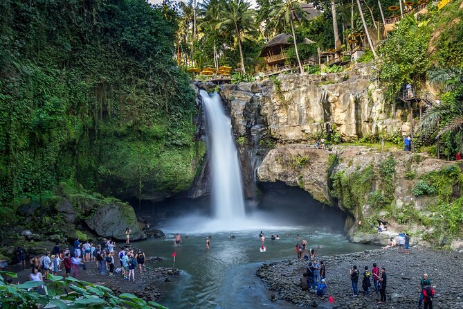 Best of Ubud 1-Day Private Tour - The Private Ubud Route That Beats Half-Day Planning