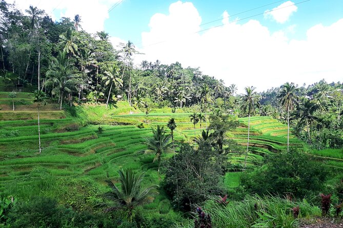 Best of Ubud - All Inclusive - Tirta Empul Temple: holy spring water rituals and respectful rules