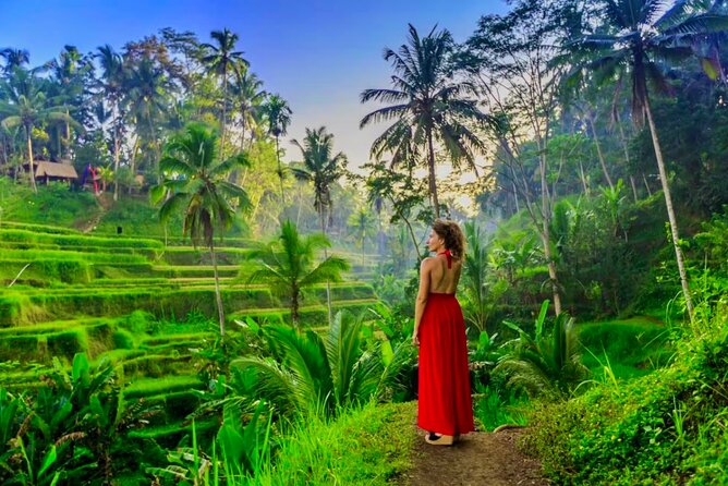 Best of Ubud: All-Inclusive Private Tour with Local Guide - Private pickup in Ubud, and why it matters more than you think