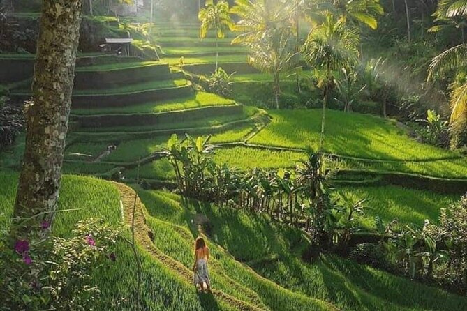 Best of Ubud: All-Inclusive Private Tour with Local Guide - Pangkon Bali Resto & Agrotourism: plan for lunch on your own