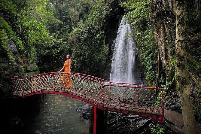 Best of Ubud: All-Inclusive Private Tour with Local Guide - Sacred Monkey Forest Sanctuary: how to enjoy monkeys without turning into the main character