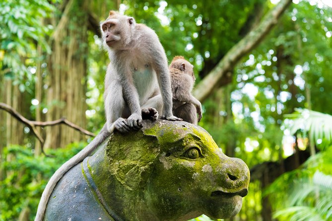 Best of Ubud Attractions: Private All-Inclusive Tour - Ubud Palace and Traditional Art Market: Culture Plus Stuff to Bring Home
