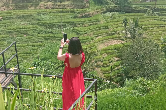 Best Of Ubud Half Day Private Guided Tour - Tegenungan Waterfall: the unforgettable picture stop