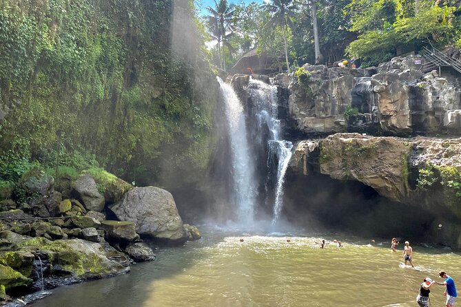 Best Of Ubud Half Day Private Guided Tour - Tirta Empul and the holy water cleansing ritual