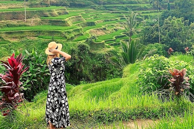 Best of Ubud - Kintamani Volcano View - Private Tour - A Simple, Private Way to See Central Bali in One Day