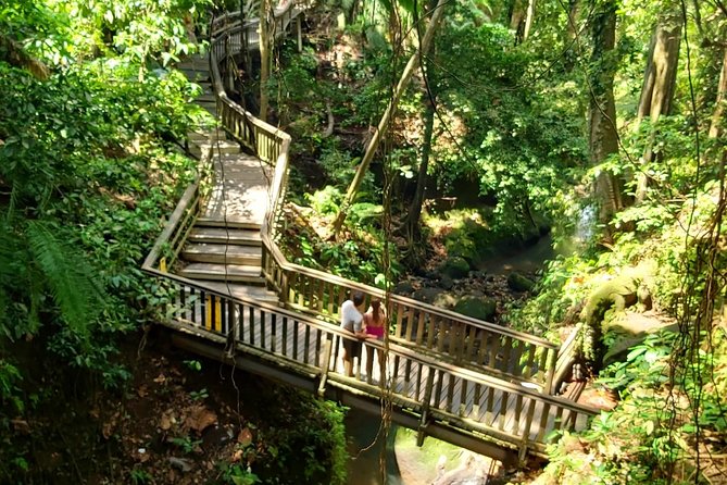 Best of Ubud - Kintamani Volcano View - Private Tour - Pickup and Private Transfers That Actually Save Your Day