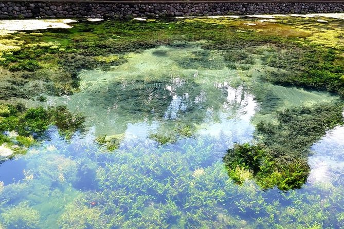 Best of Ubud - Kintamani Volcano View - Private Tour - Penelokan and Kintamani Highland: Volcano Views Over Lake Batur