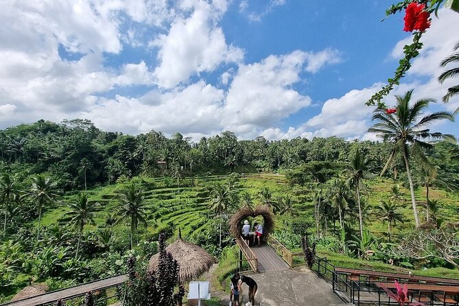 Best of Ubud Private Tour with Jungle Swing Experience - Price and value at $33 per person (what you actually get)