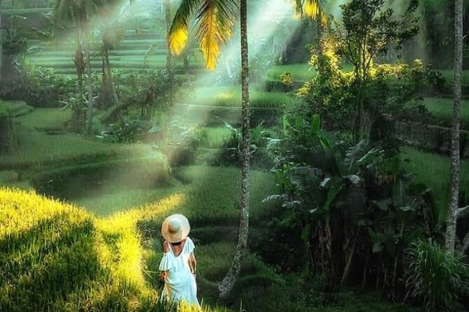Best of Ubud Tour: Monkey Forest, Rice Terraces & Waterfall - Tegalalang Rice Terraces: classic views plus the Subak irrigation story